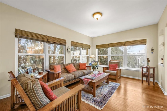 living room featuring hardwood / wood-style floors