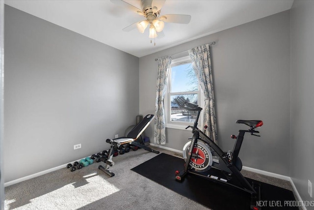 exercise room with ceiling fan and carpet flooring