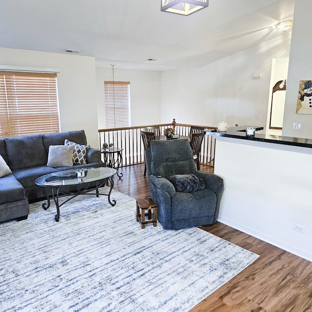 living room with wood-type flooring