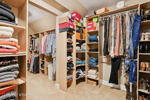 spacious closet with carpet flooring