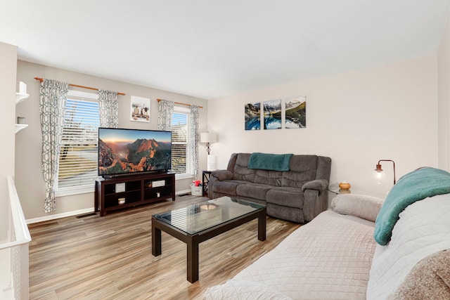 living room with wood-type flooring