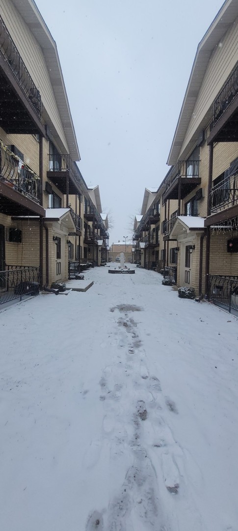 view of snowy yard