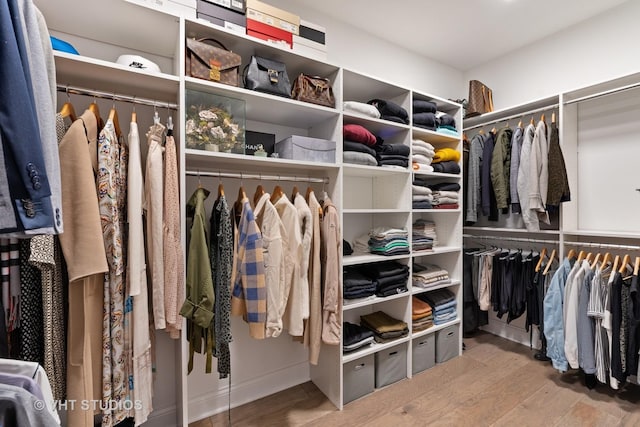 spacious closet with hardwood / wood-style flooring