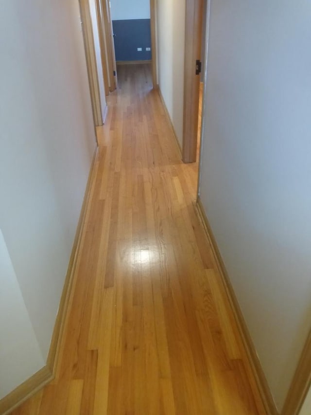 hallway featuring light hardwood / wood-style floors