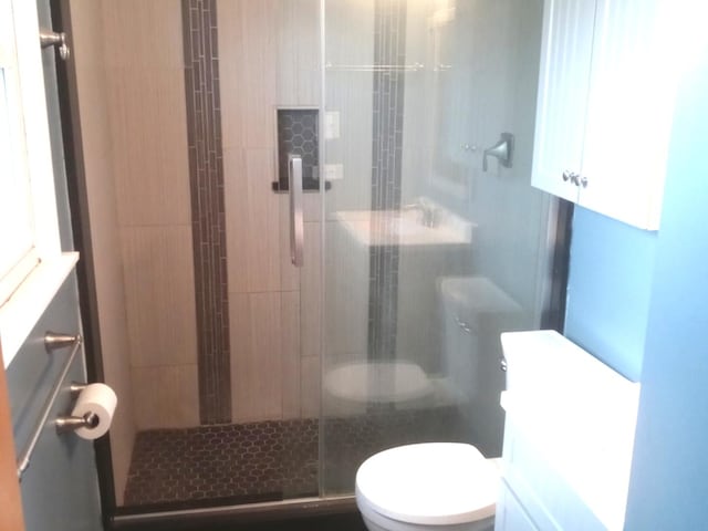 bathroom with vanity, toilet, and a shower with door