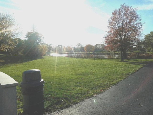 view of yard with a water view