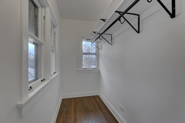 spacious closet featuring dark wood-type flooring