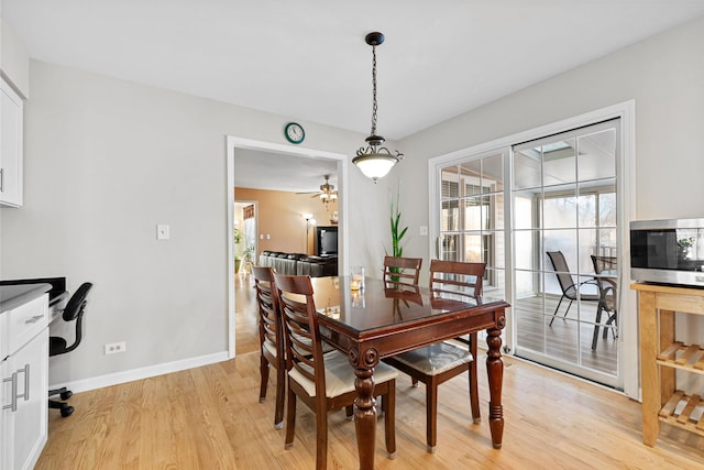 dining room featuring a healthy amount of sunlight and light hardwood / wood-style floors