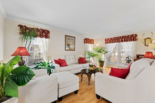 living room featuring ornamental molding and light wood-type flooring