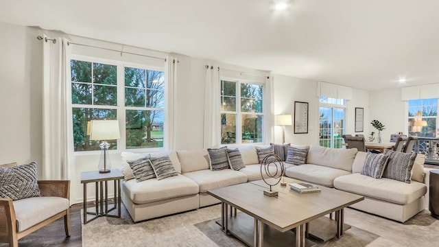 living room featuring light hardwood / wood-style floors