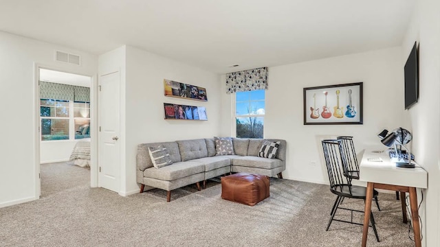 living room with carpet floors