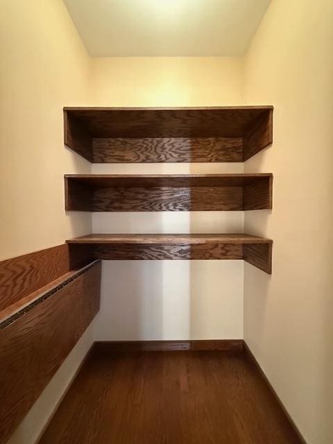 spacious closet featuring dark wood-style floors