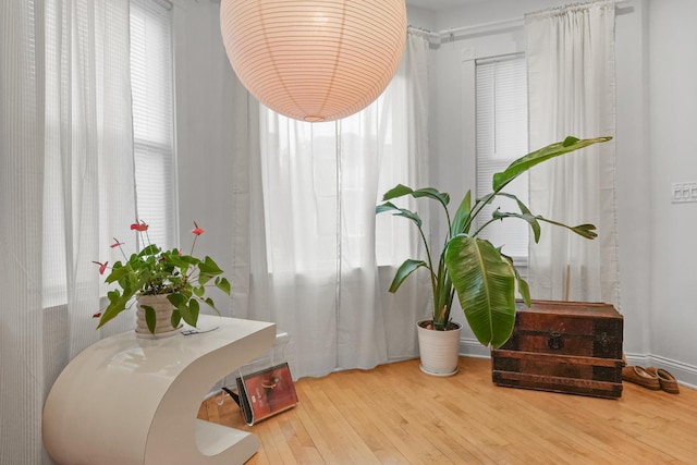 interior space featuring hardwood / wood-style flooring