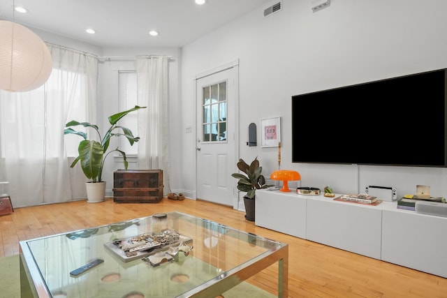 living room featuring hardwood / wood-style floors