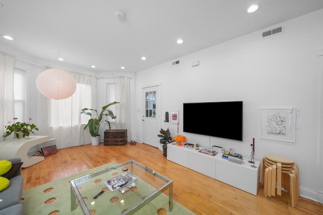 living room with wood-type flooring