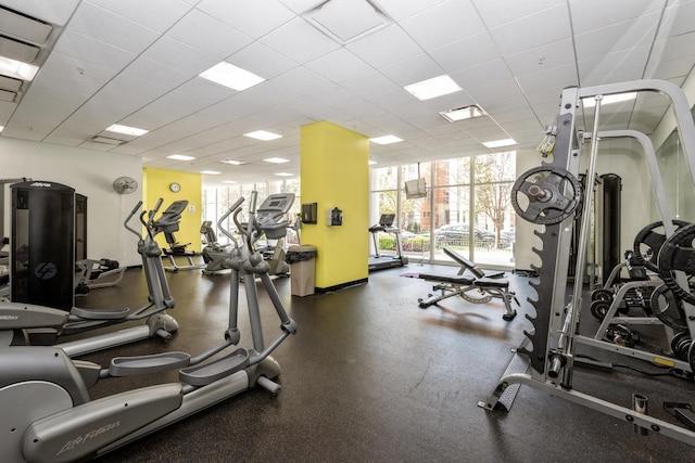 workout area featuring a wall of windows and a drop ceiling