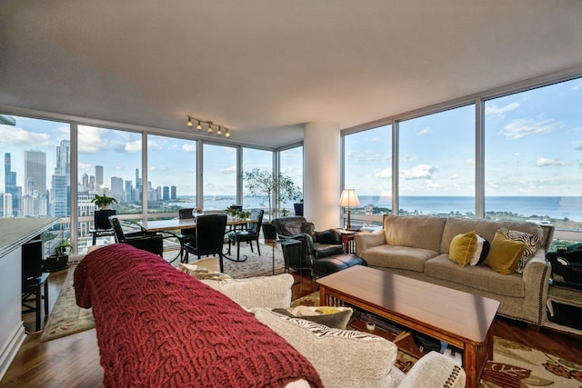 living room with floor to ceiling windows, a water view, wood-type flooring, and a wealth of natural light