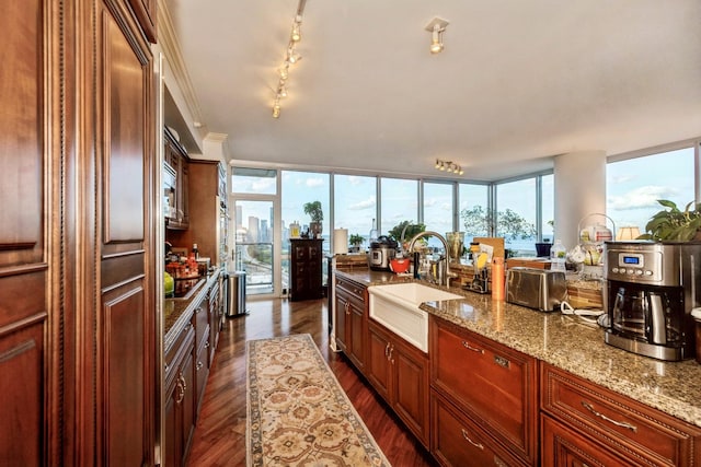 kitchen with floor to ceiling windows, light stone countertops, sink, dark hardwood / wood-style flooring, and crown molding