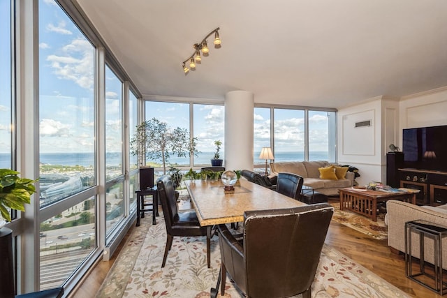 sunroom with a healthy amount of sunlight and a water view