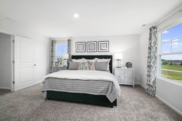 carpeted bedroom with multiple windows