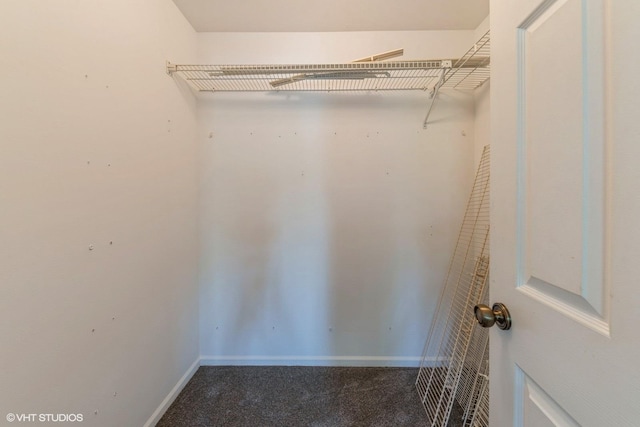 spacious closet featuring carpet