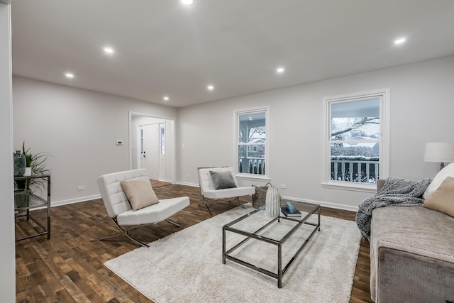 living room with dark hardwood / wood-style flooring