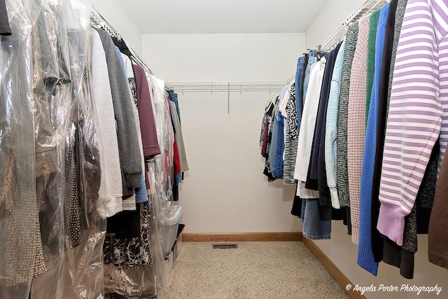 view of walk in closet