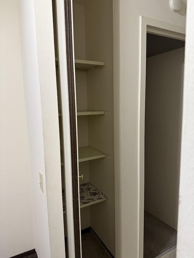 view of closet