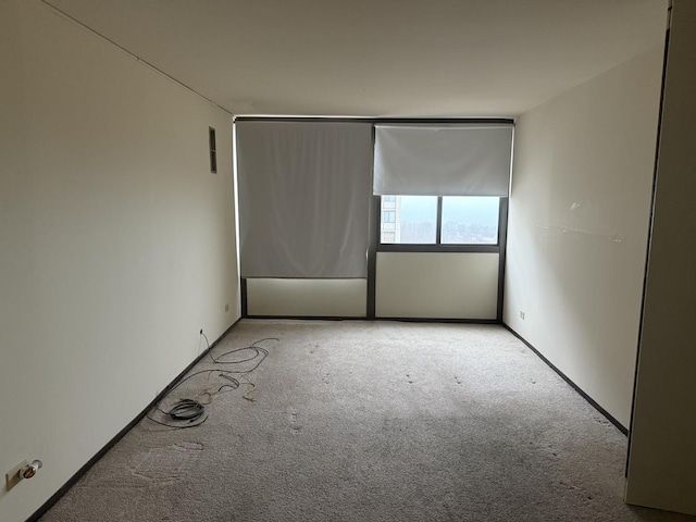 spare room with light colored carpet