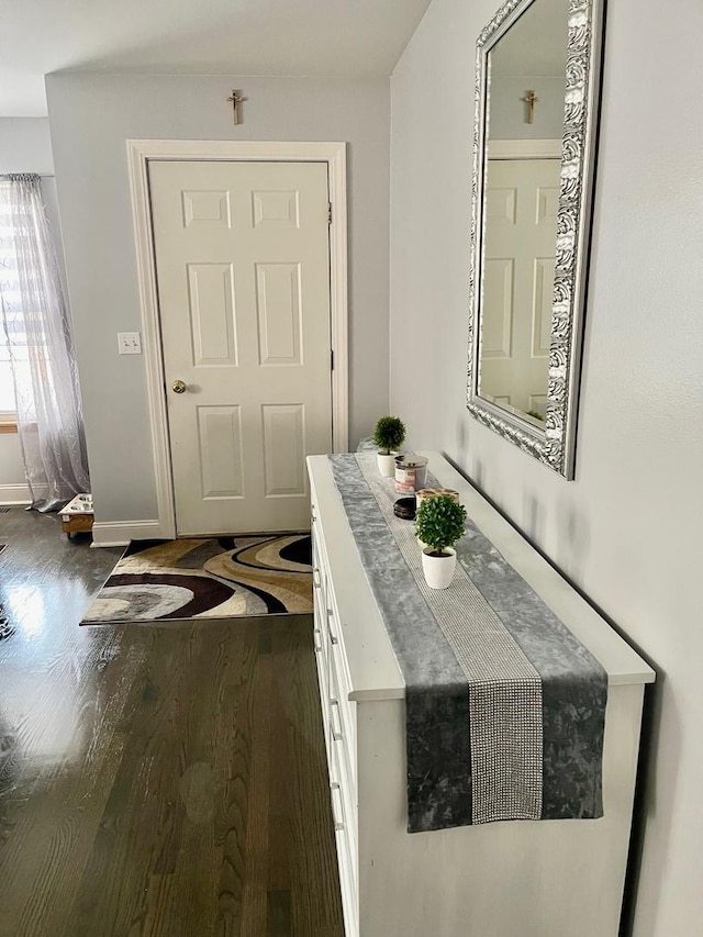 entryway featuring dark hardwood / wood-style flooring