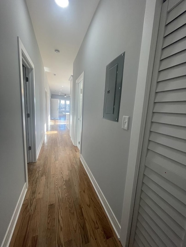 hallway featuring hardwood / wood-style floors and electric panel