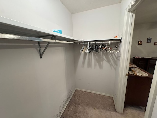 spacious closet featuring carpet