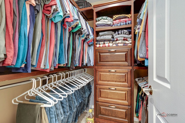 view of walk in closet