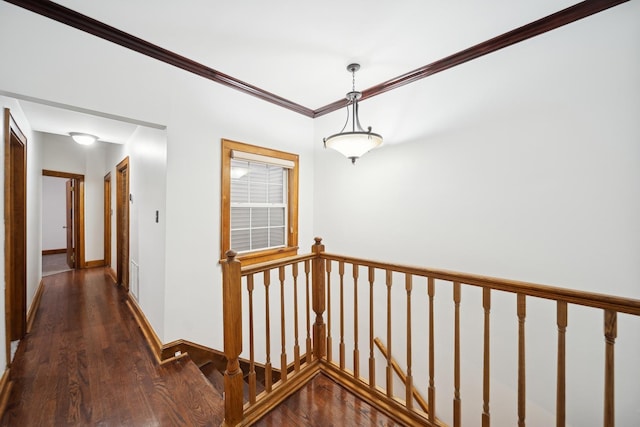 corridor with dark hardwood / wood-style flooring and ornamental molding