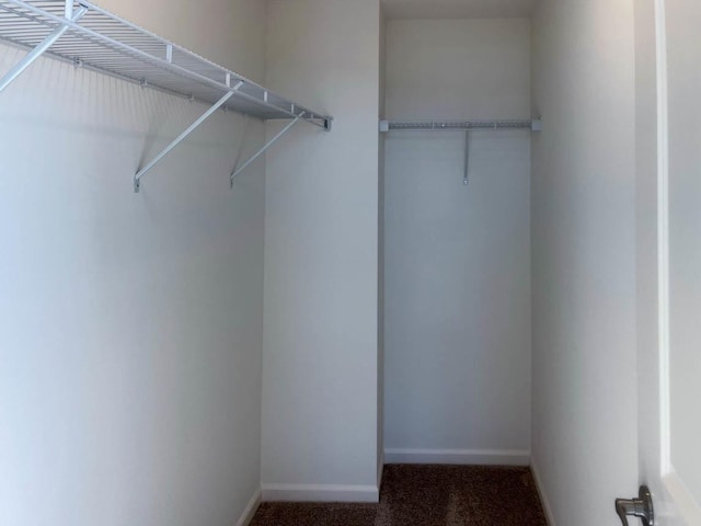 spacious closet featuring carpet flooring