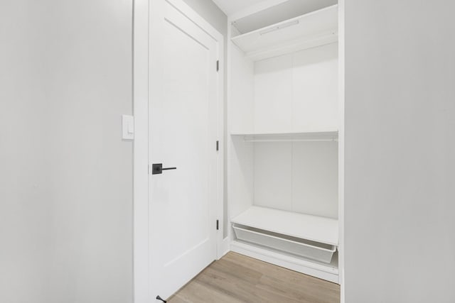 walk in closet with light hardwood / wood-style flooring