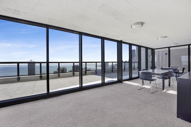 unfurnished sunroom with a water view