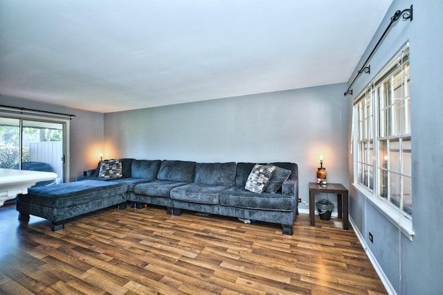 living room featuring wood-type flooring