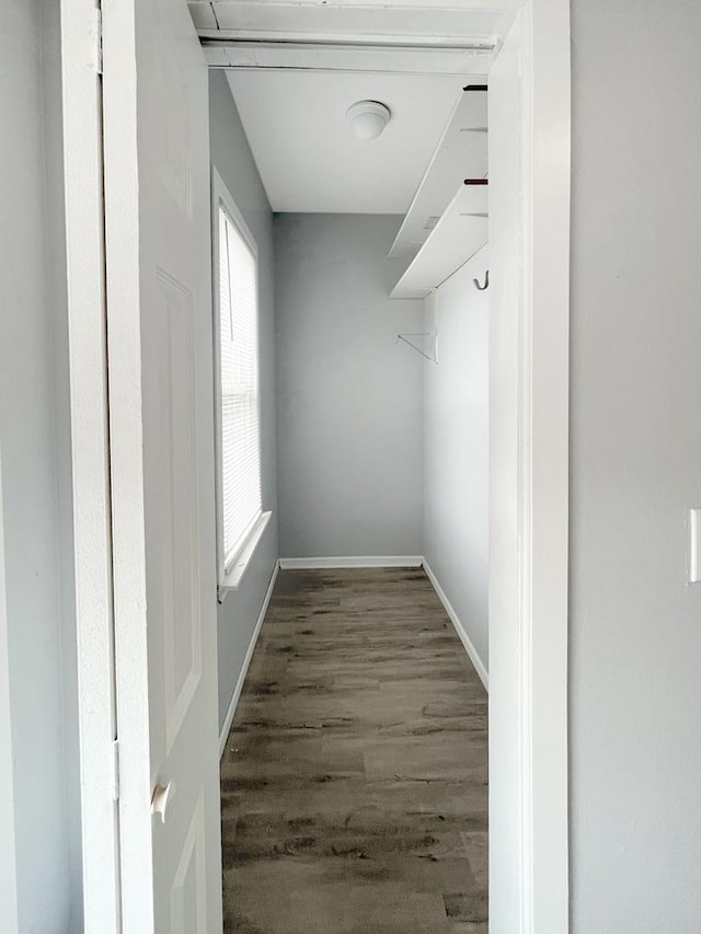 walk in closet with dark hardwood / wood-style flooring