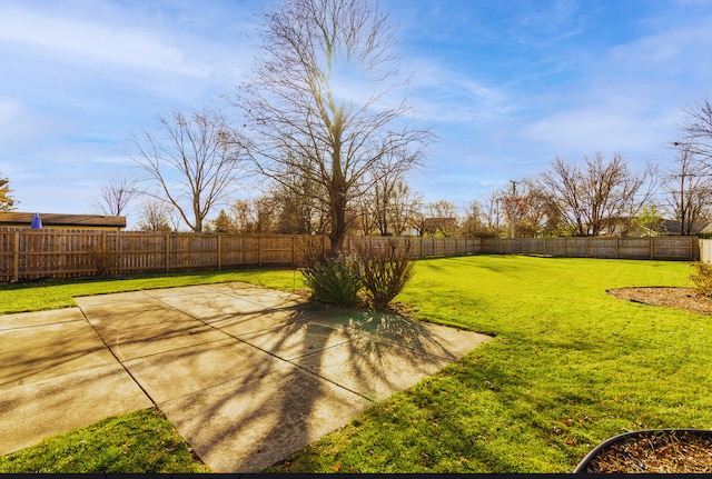 view of yard with a patio