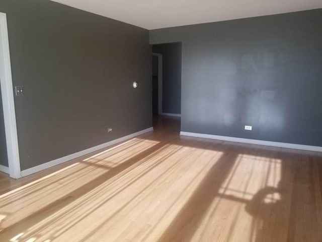 spare room with wood-type flooring