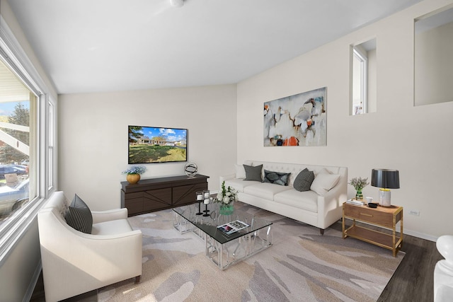 living room with hardwood / wood-style flooring and lofted ceiling