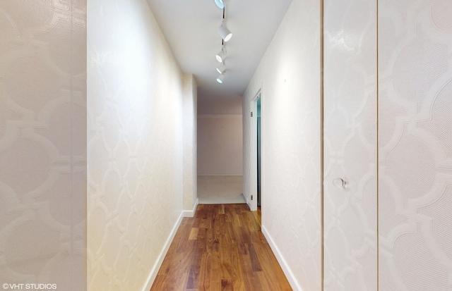 hallway with rail lighting and hardwood / wood-style flooring