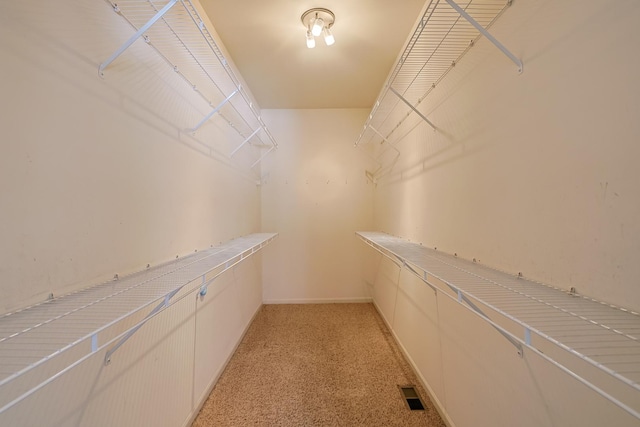 spacious closet featuring light carpet