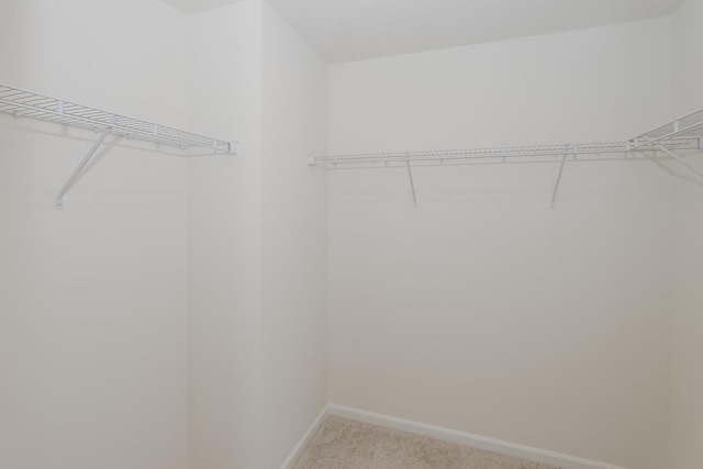 spacious closet featuring light carpet