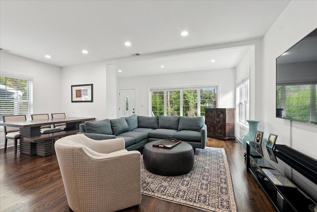 living room with dark wood-type flooring and a wealth of natural light