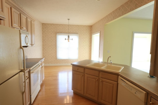 kitchen featuring white appliances, light hardwood / wood-style flooring, hanging light fixtures, an inviting chandelier, and sink