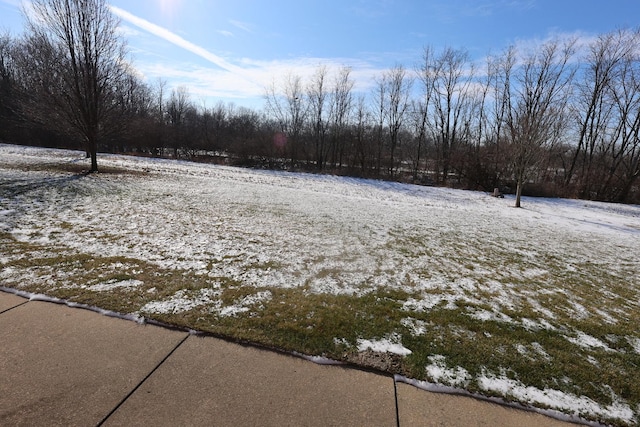 view of yard layered in snow