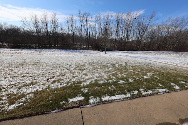 view of yard layered in snow