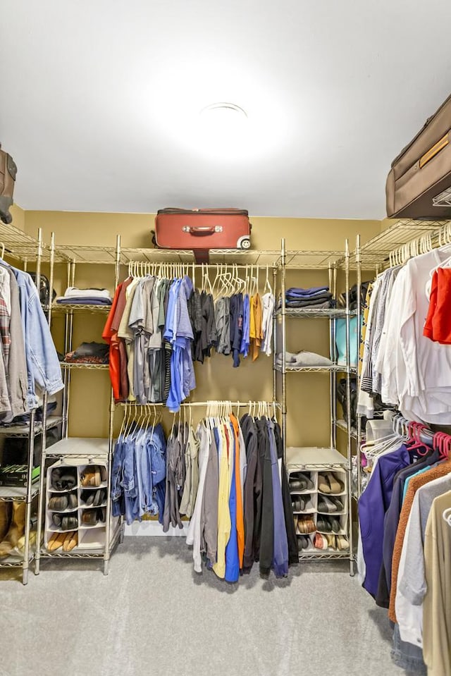 spacious closet featuring carpet floors